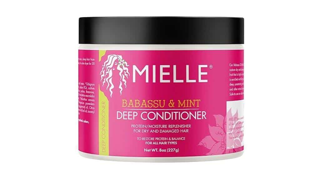 Babassu-Öl-Conditioner-Bewertung
