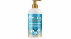 "Mielle Moisture Rx Leave-In Bewertung"